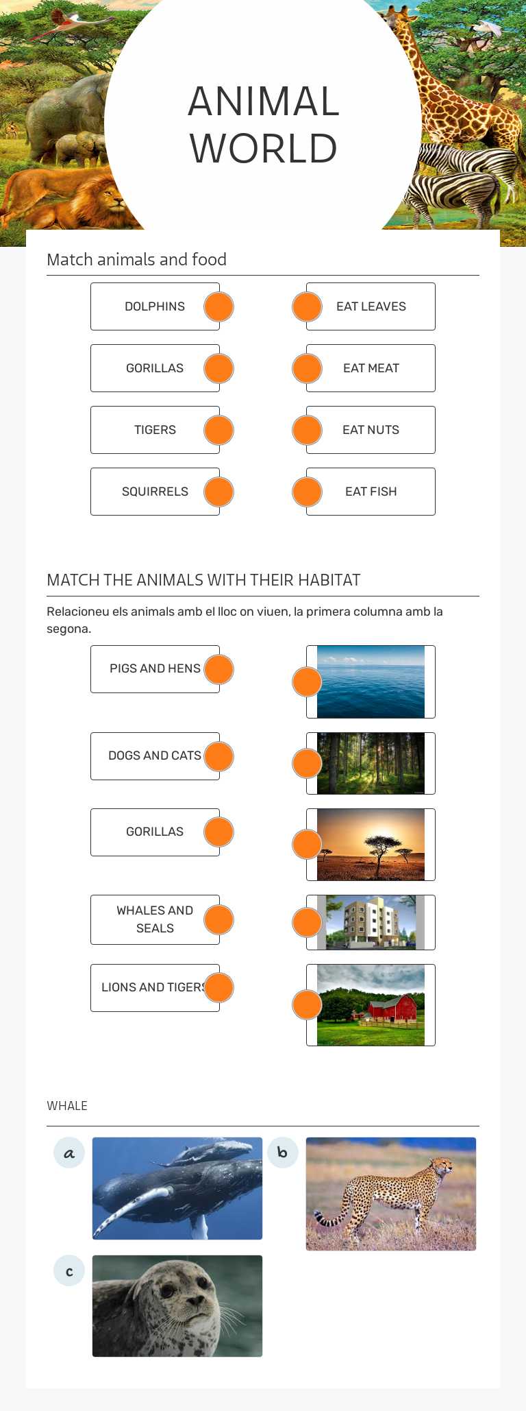 ANIMAL WORLD worksheet preview image