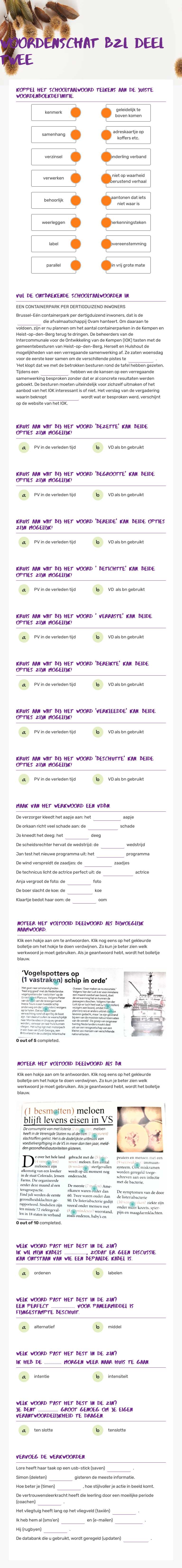 woordenschat BZL deel twee worksheet preview image