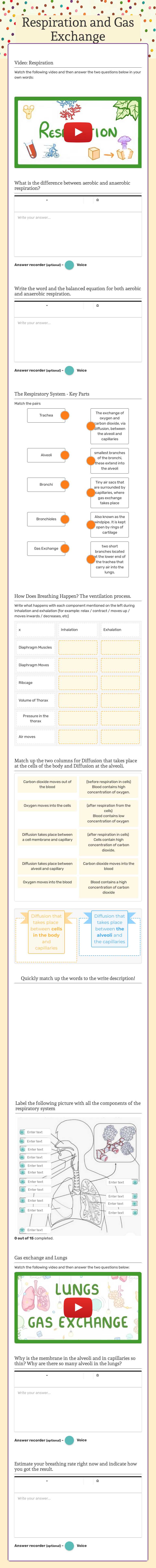 Respiration and Gas Exchange Grade 10 worksheet preview