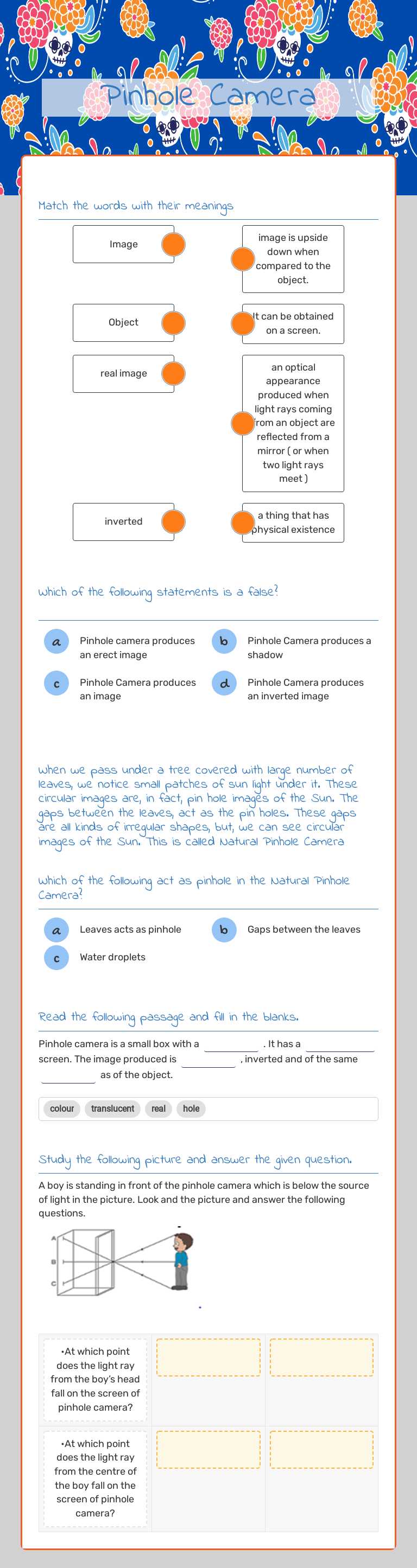 Pinhole Camera worksheet preview image