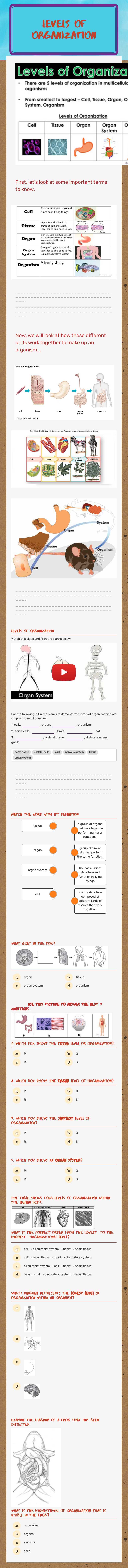 Levels of Organization Grade 6 worksheet preview