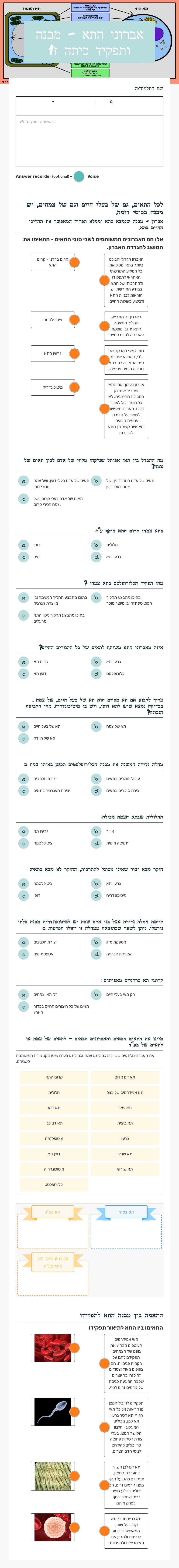 אברוני התא - מבנה ותפקיד כיתה ז1 Grade 7 worksheet preview