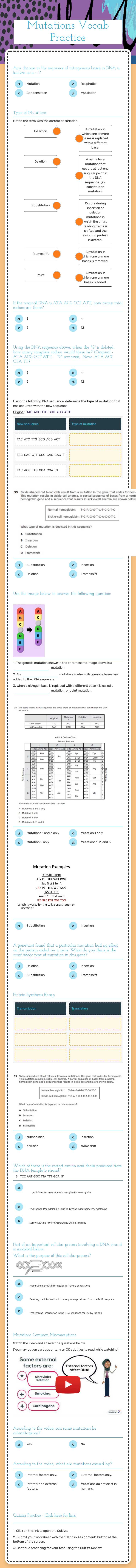 Mutations Vocab Practice worksheet preview image