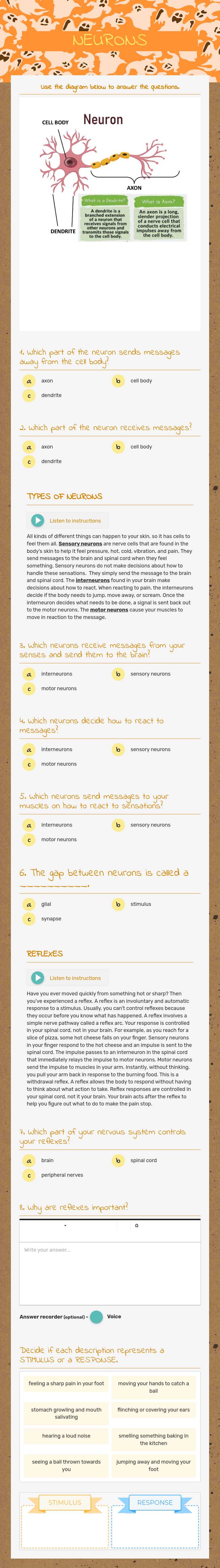 NEURONS worksheet preview image