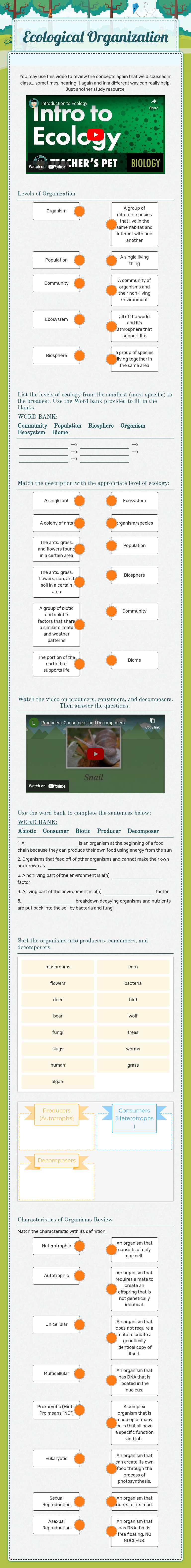 Ecological Organization worksheet preview image