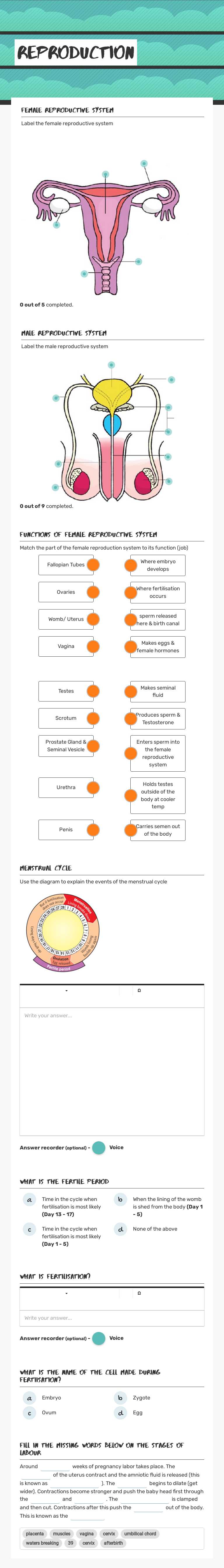 Reproduction worksheet preview image