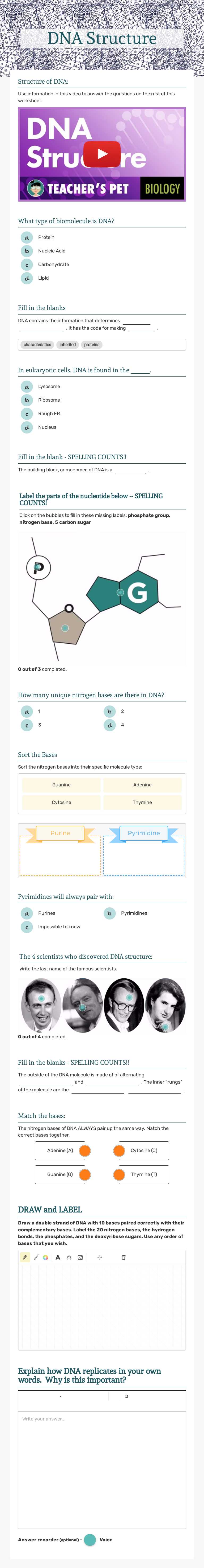 DNA Structure worksheet preview image