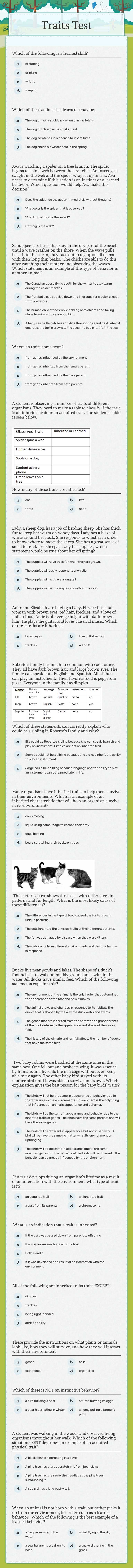 Traits Test worksheet preview image
