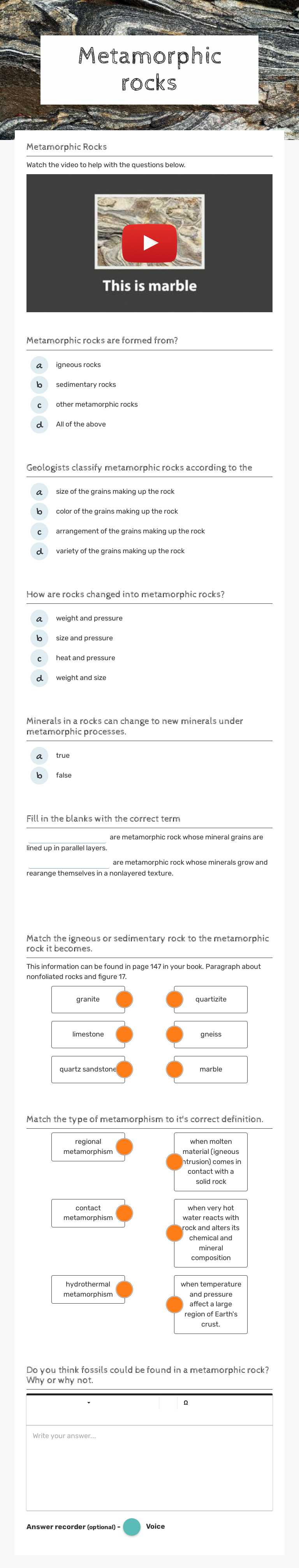 Metamorphic rocks worksheet preview image