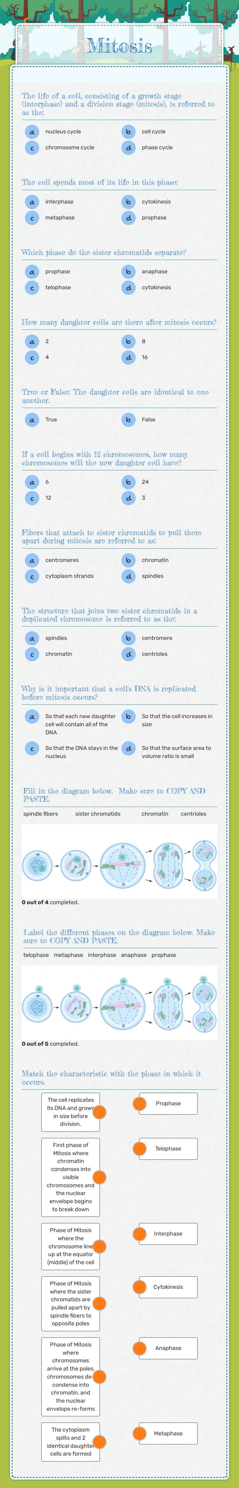 Mitosis Grade 10 worksheet preview