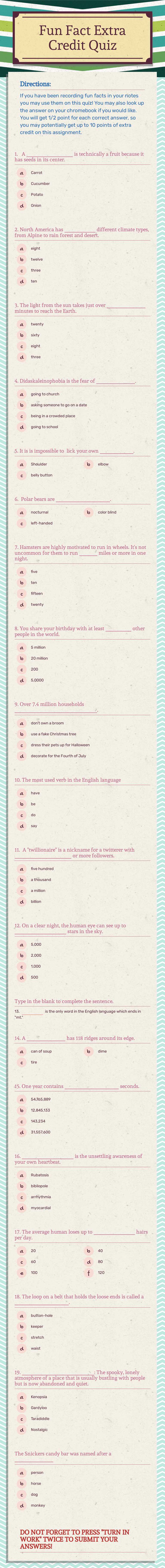 Fun Fact Extra Credit Quiz worksheet preview image
