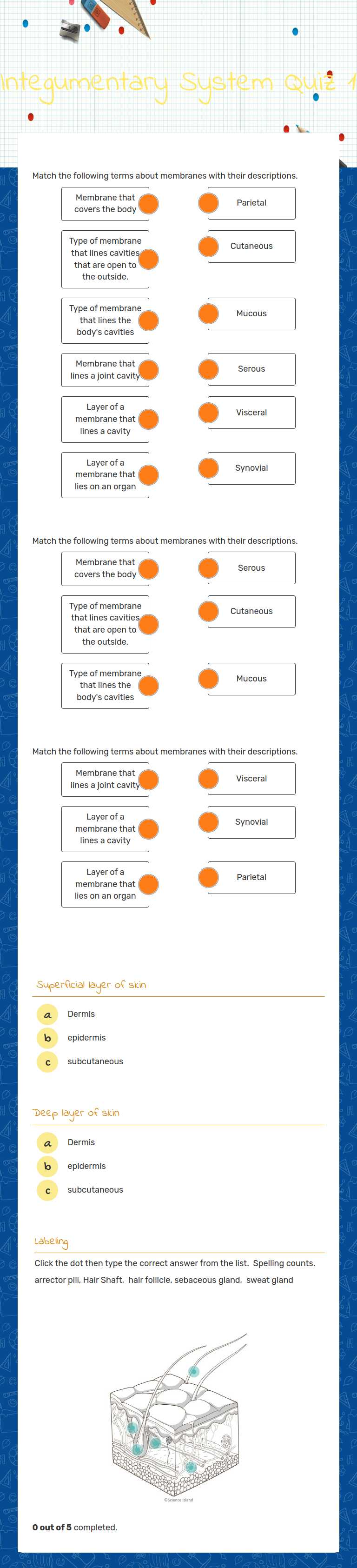 Integumentary System
Quiz 1 worksheet preview image