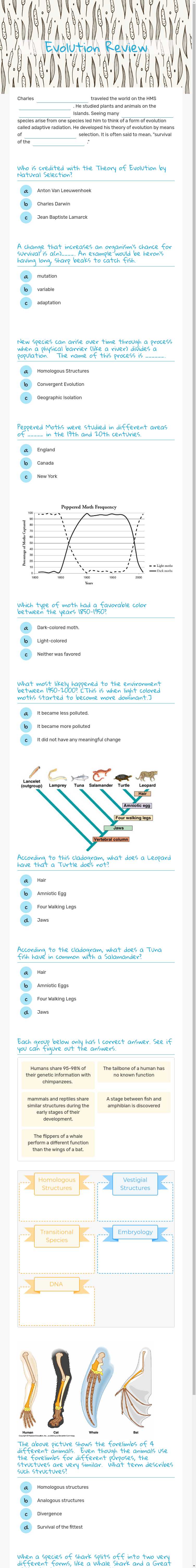 Evolution Review worksheet preview image