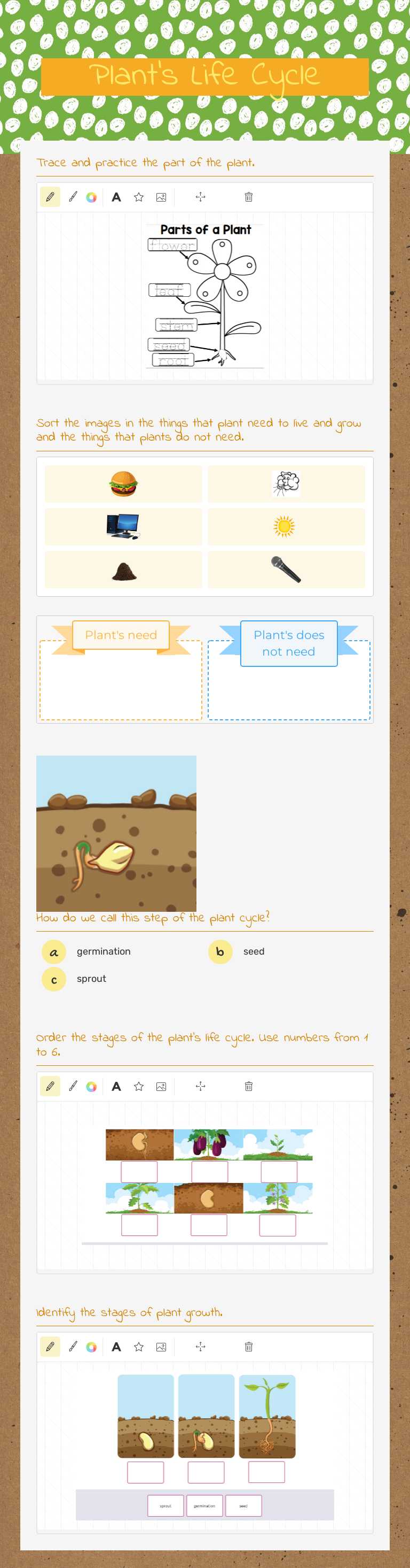 Plant's Life Cycle worksheet preview image