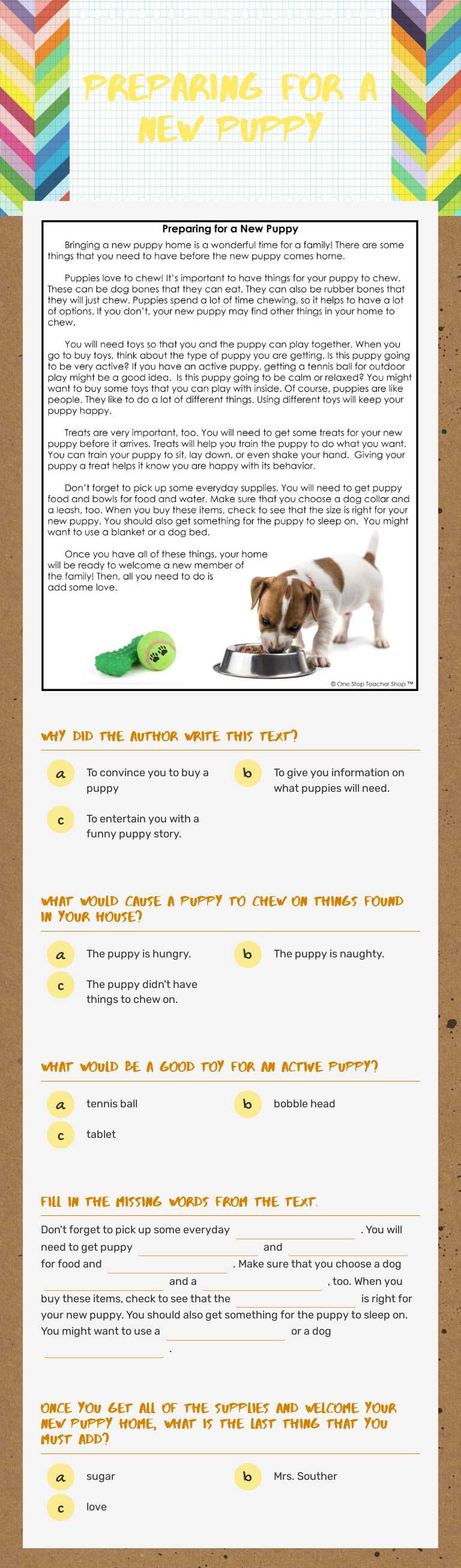 Preparing for a new puppy Grade 3 worksheet preview