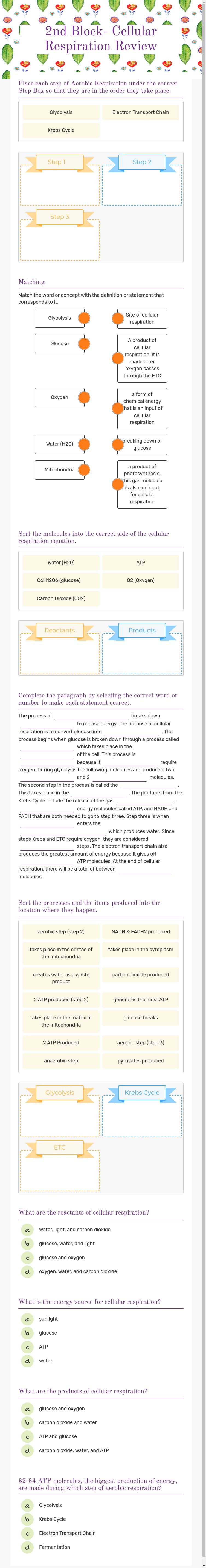 2nd Block- Cellular Respiration Review Grade 10 worksheet preview