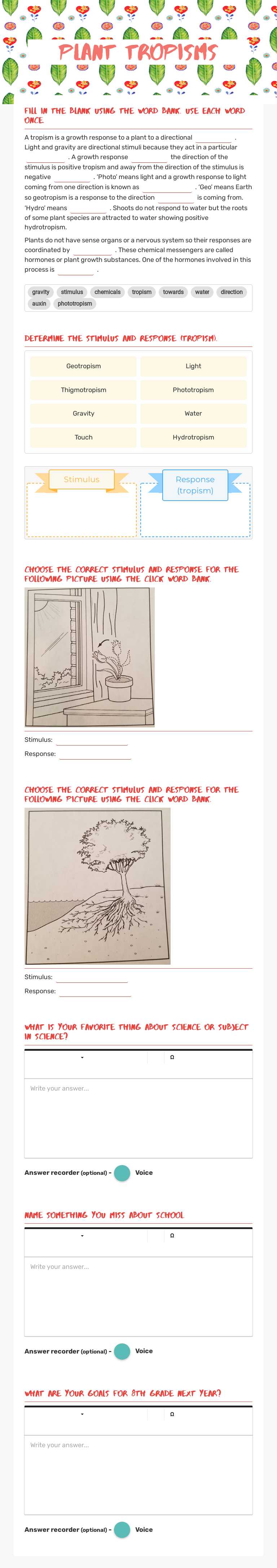Plant Tropisms worksheet preview image