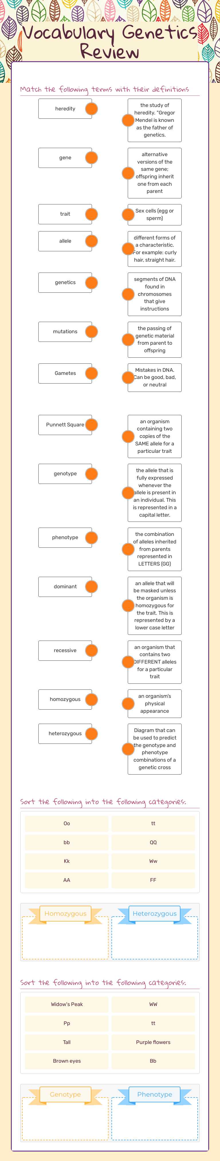Vocabulary Genetics Review Grade 8 worksheet preview