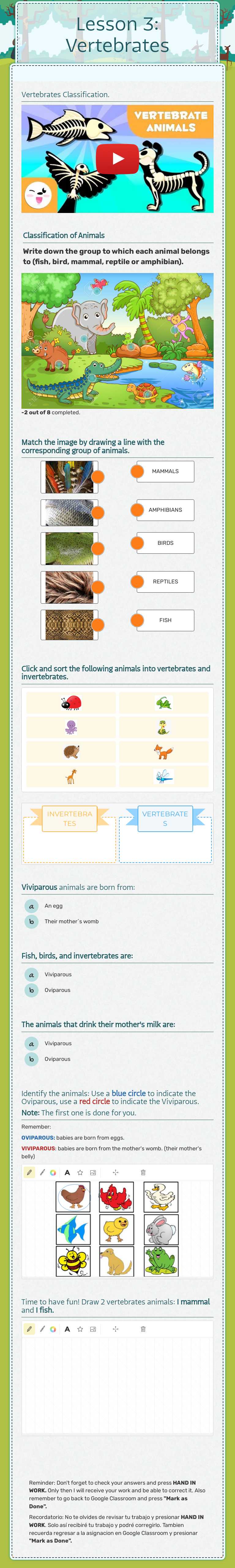 Lesson 3: Vertebrates Grade 2 worksheet preview