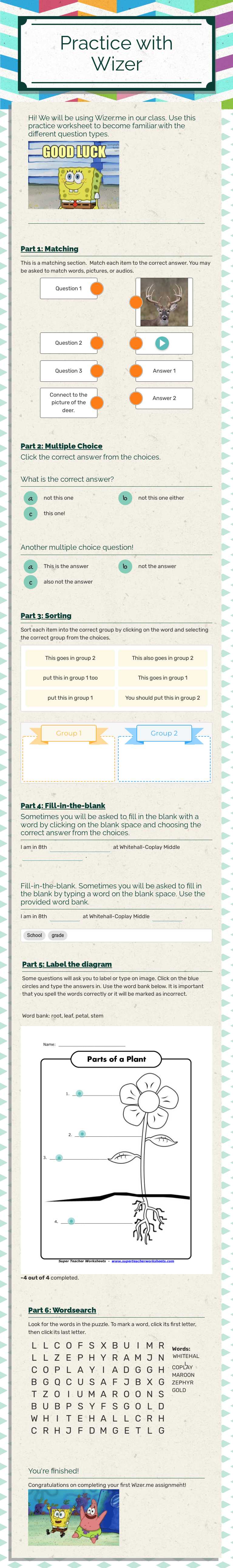 Practice with Wizer worksheet preview image