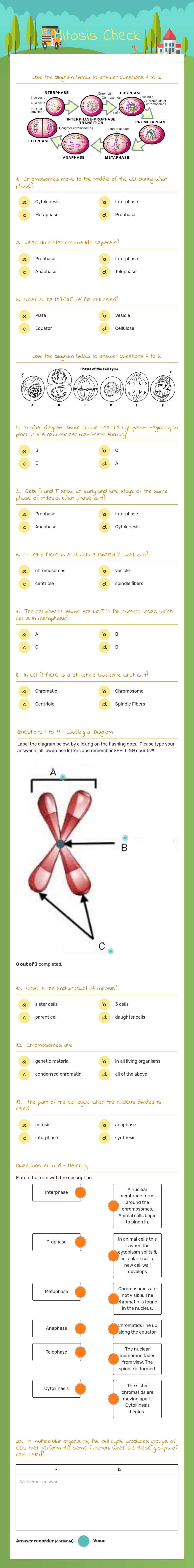 Mitosis Check worksheet preview image