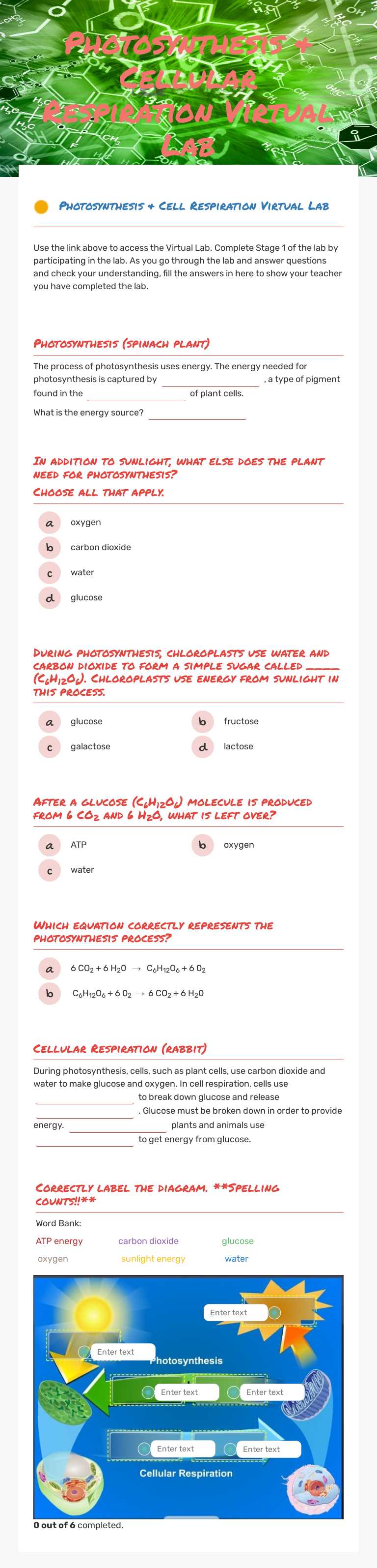 Photosynthesis & Cellular Respiration Virtual Lab by Katie Anderson ...