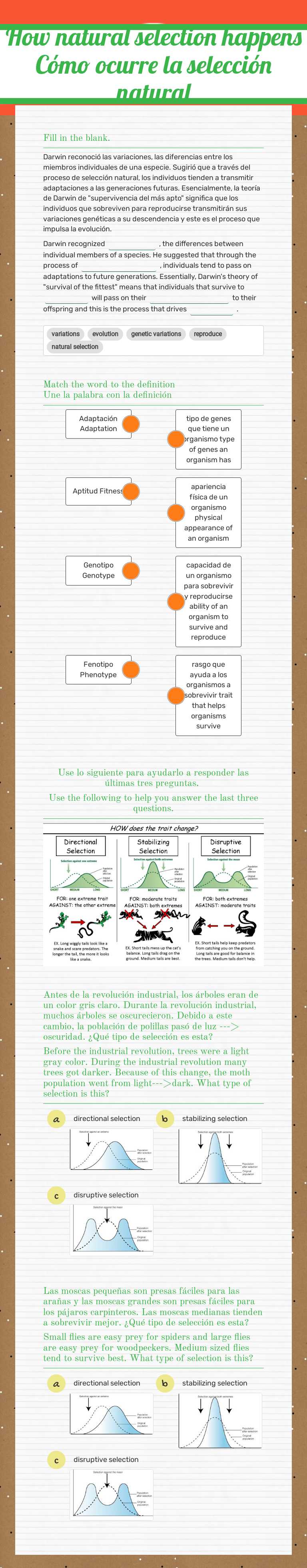 How natural selection happens
Cómo ocurre la selección natural Grade 9 worksheet preview