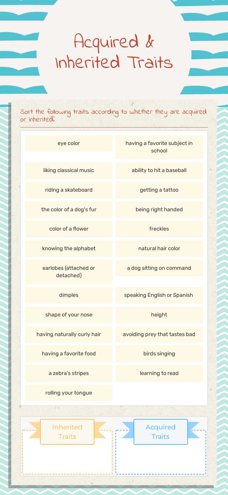 Acquired & Inherited Traits worksheet preview image