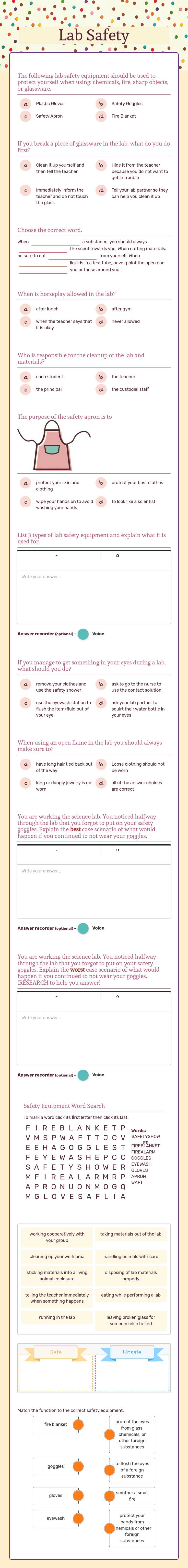 Lab Safety worksheet preview image