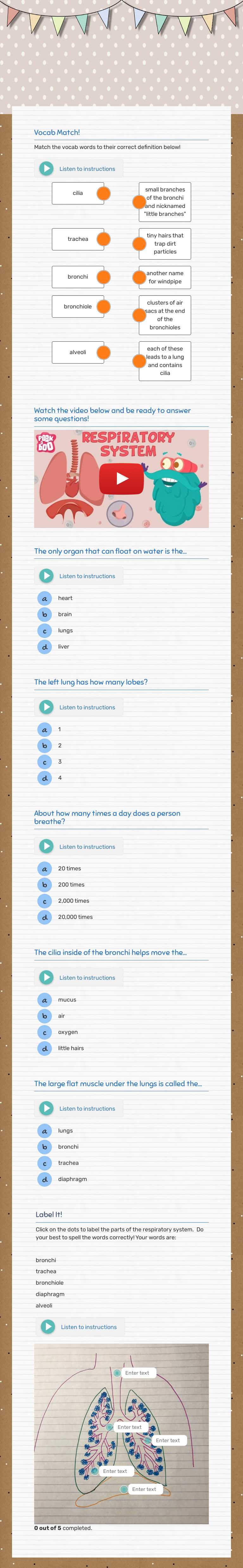 1/8 - The Respiratory System worksheet preview image