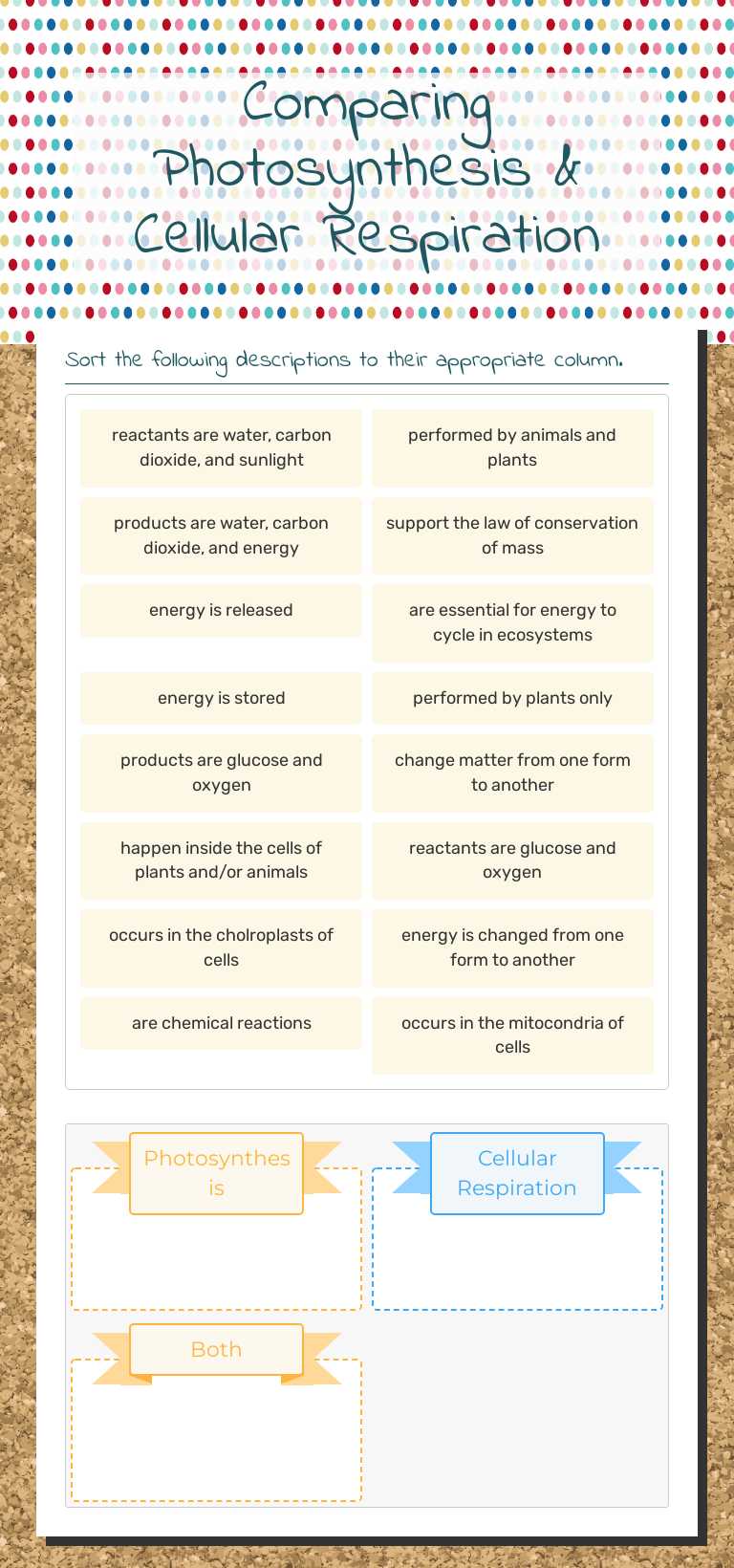 Comparing Photosynthesis &  Cellular Respiration Grade 7 worksheet preview