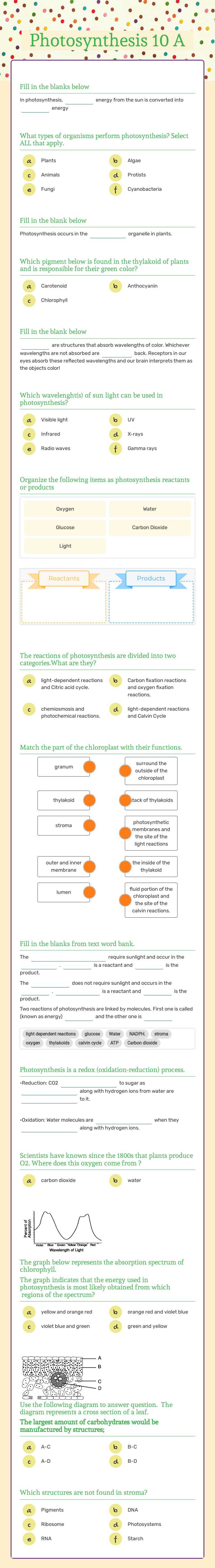 Photosynthesis 10 A Grade 10 worksheet preview