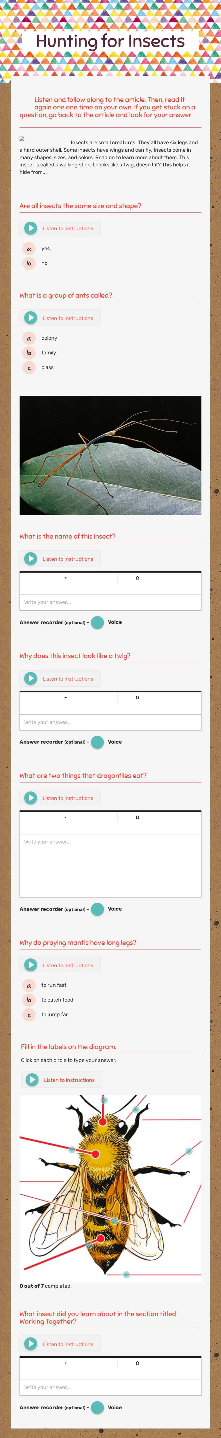 Hunting for Insects worksheet preview image