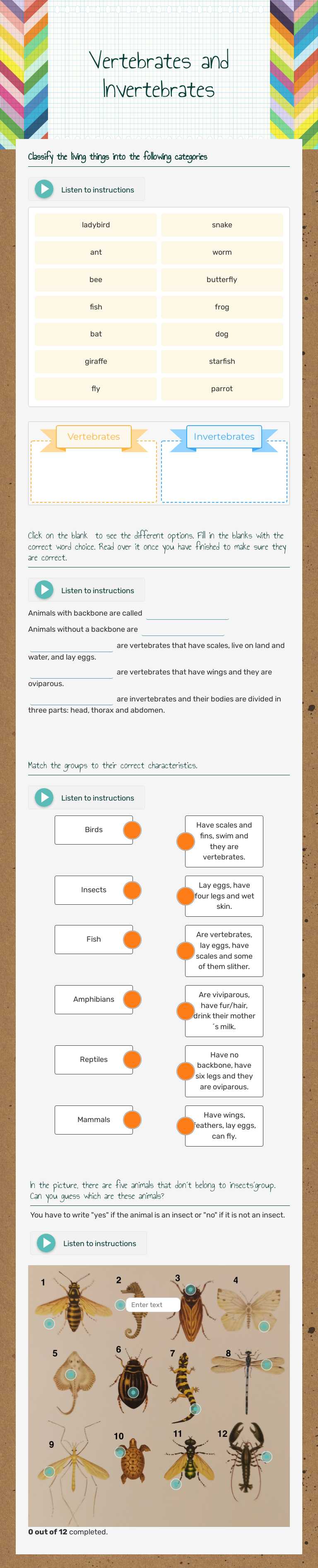 Vertebrates and Invertebrates worksheet preview image