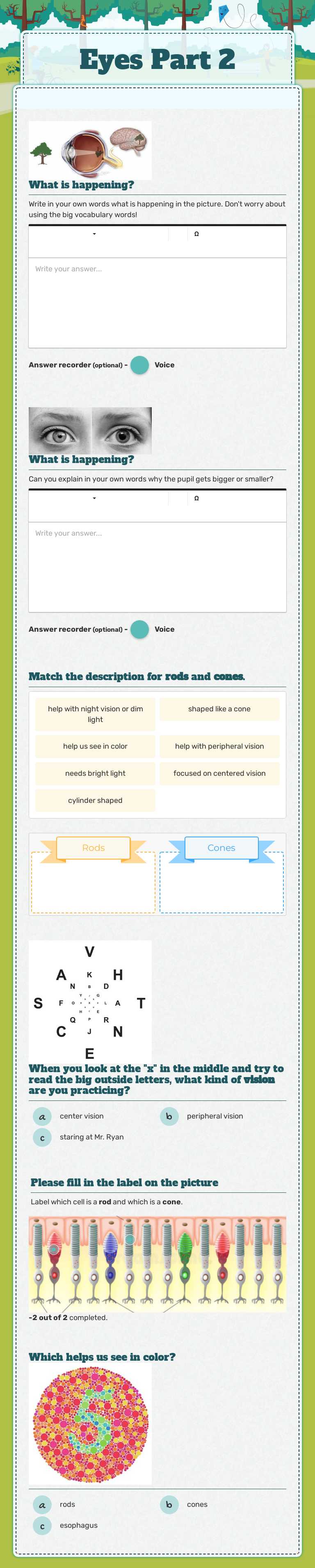 Eyes Part 2 worksheet preview image
