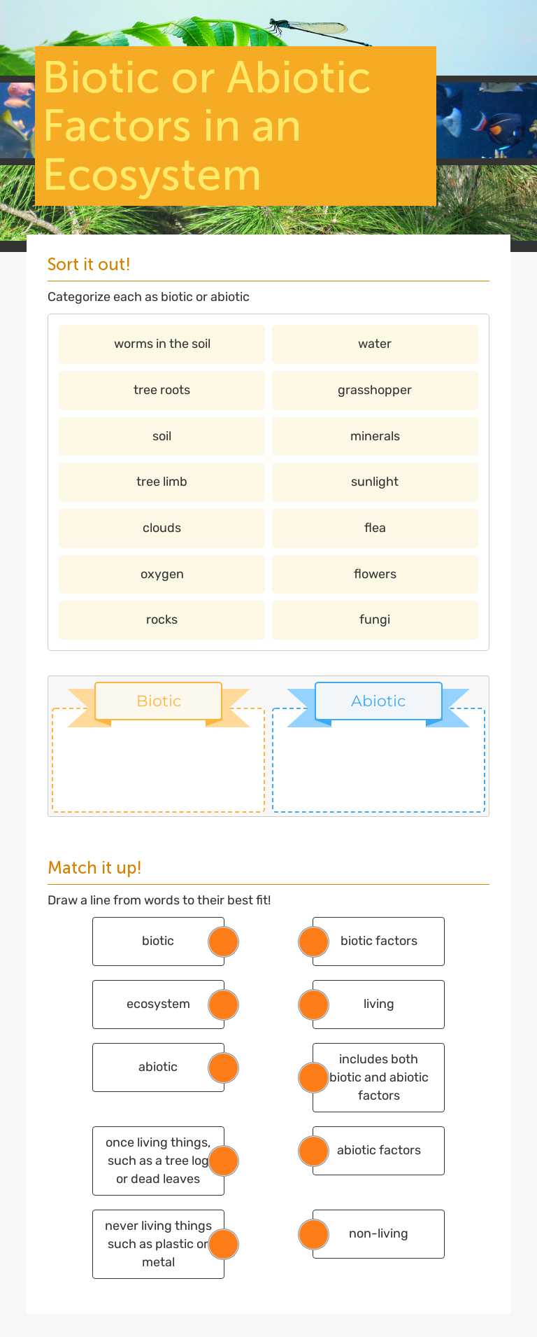 Biotic or Abiotic Factors in an Ecosystem worksheet preview image