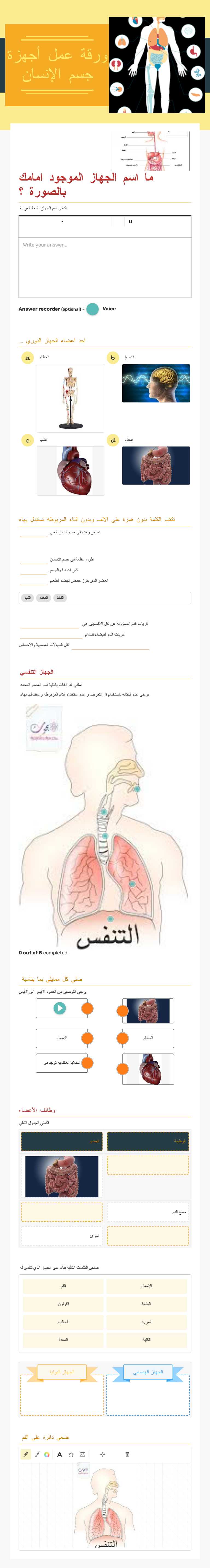 ورقة عمل أجهزة جسم الإنسان worksheet preview image