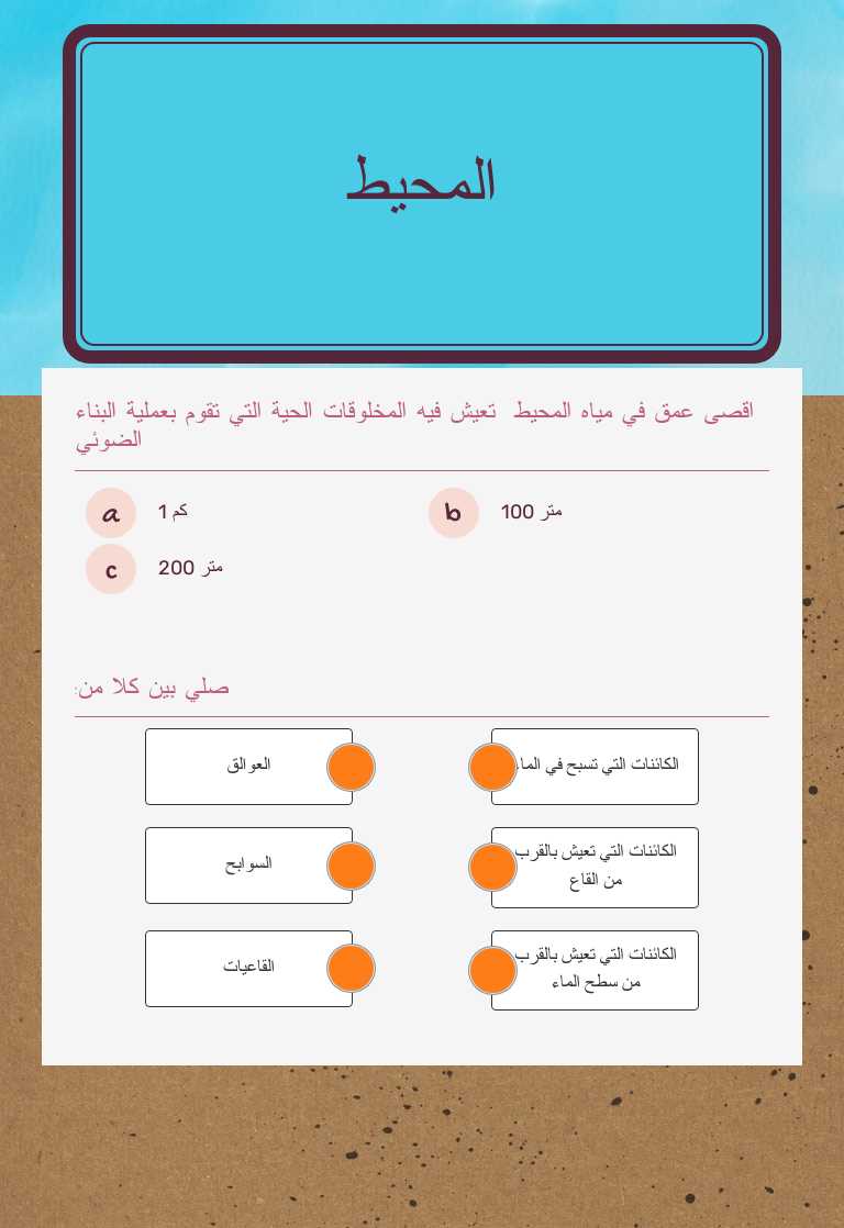المحيط worksheet preview image