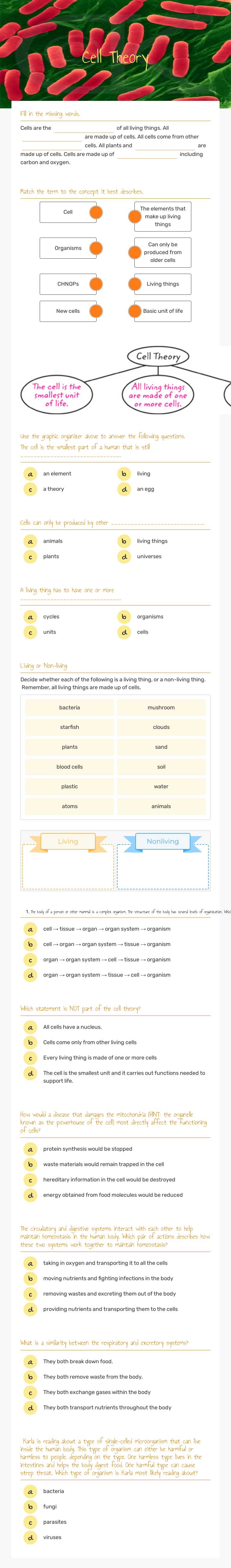Cell Theory worksheet preview image