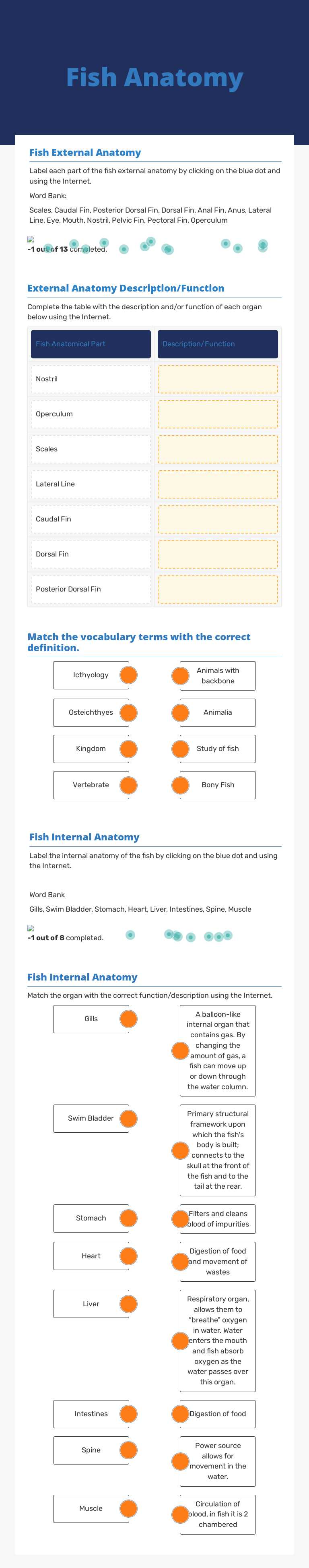 Fish Anatomy worksheet preview image