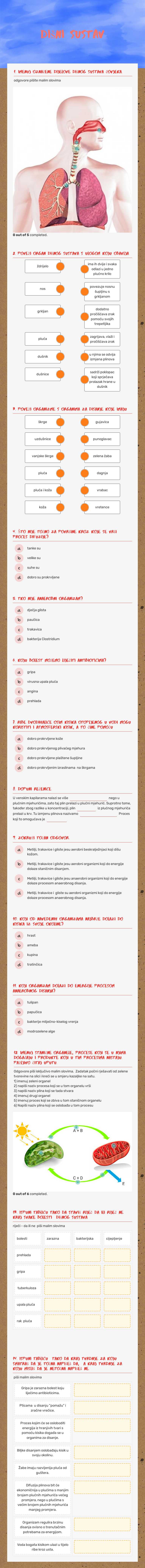 dišni sustav worksheet preview image