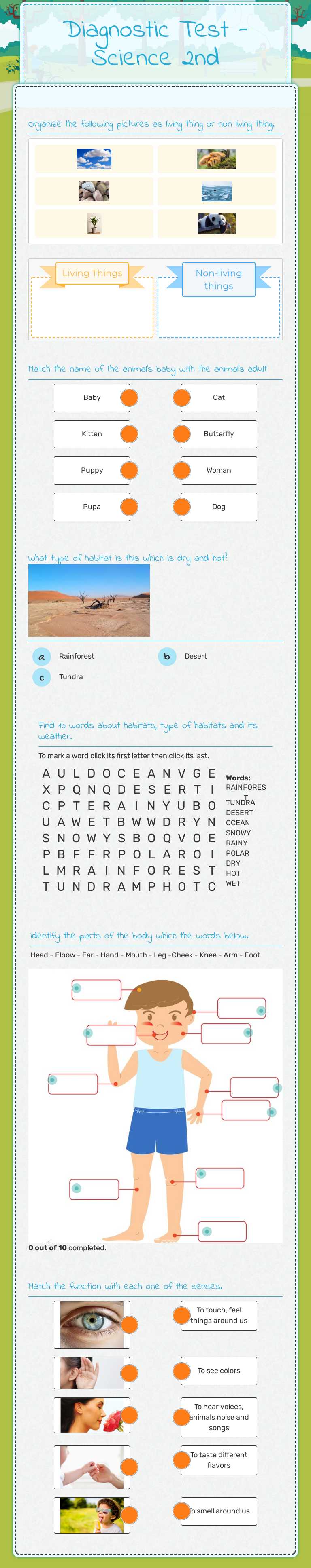 Diagnostic Test - Science 2nd worksheet preview image