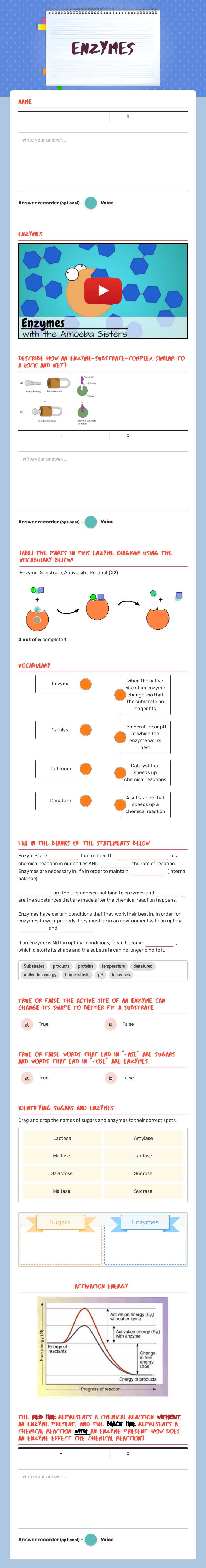 Enzymes worksheet preview image