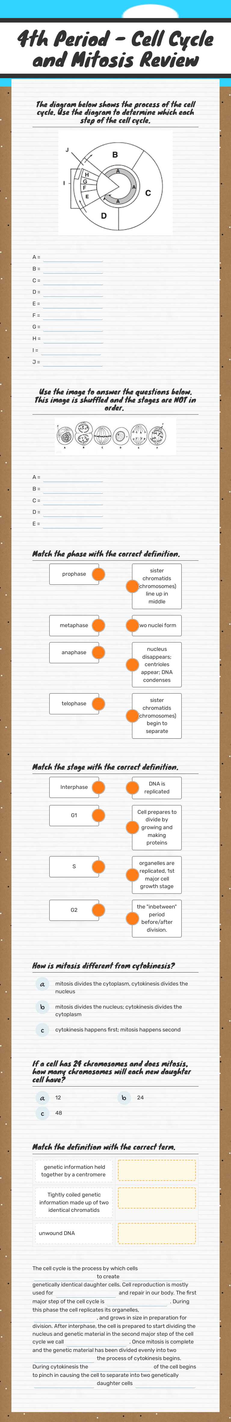 4th Period - Cell Cycle and Mitosis Review worksheet preview image