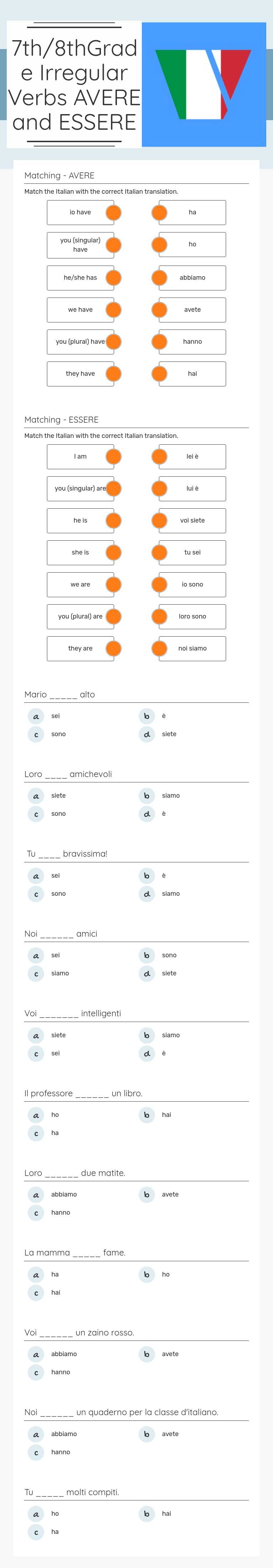 7th/8thGrade Irregular Verbs 
AVERE and ESSERE worksheet preview image
