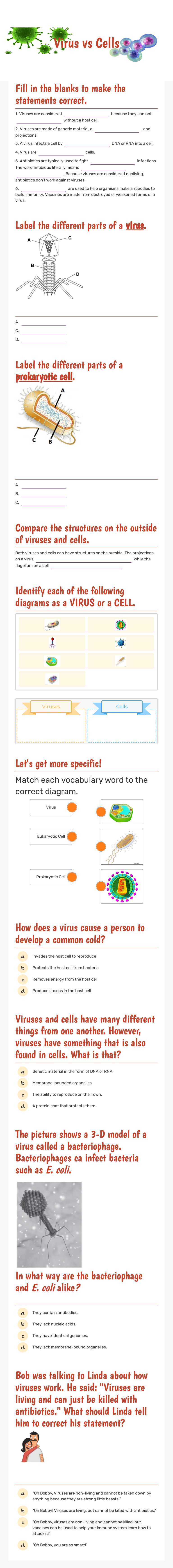 Virus vs Cells worksheet preview image