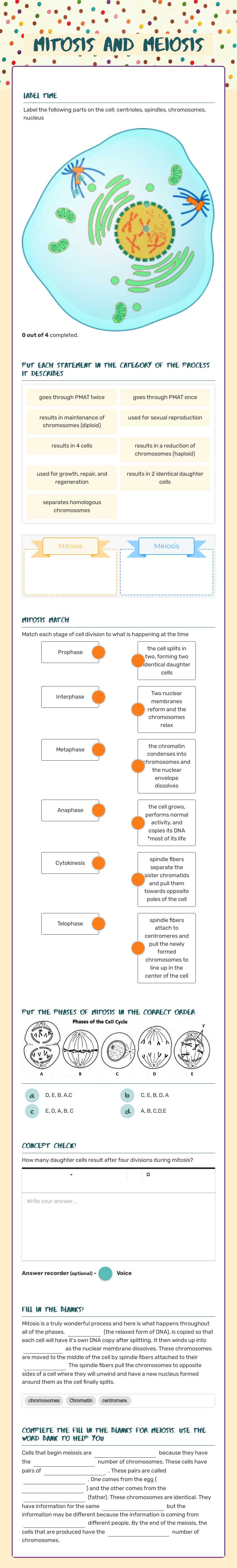 Mitosis and Meiosis worksheet preview image