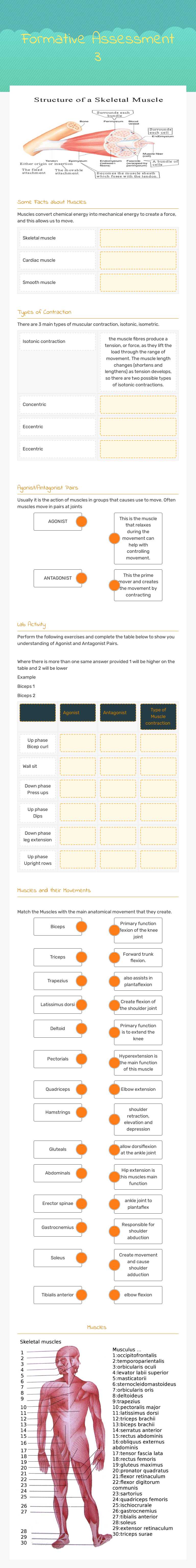 Formative Assessment 3 worksheet preview image