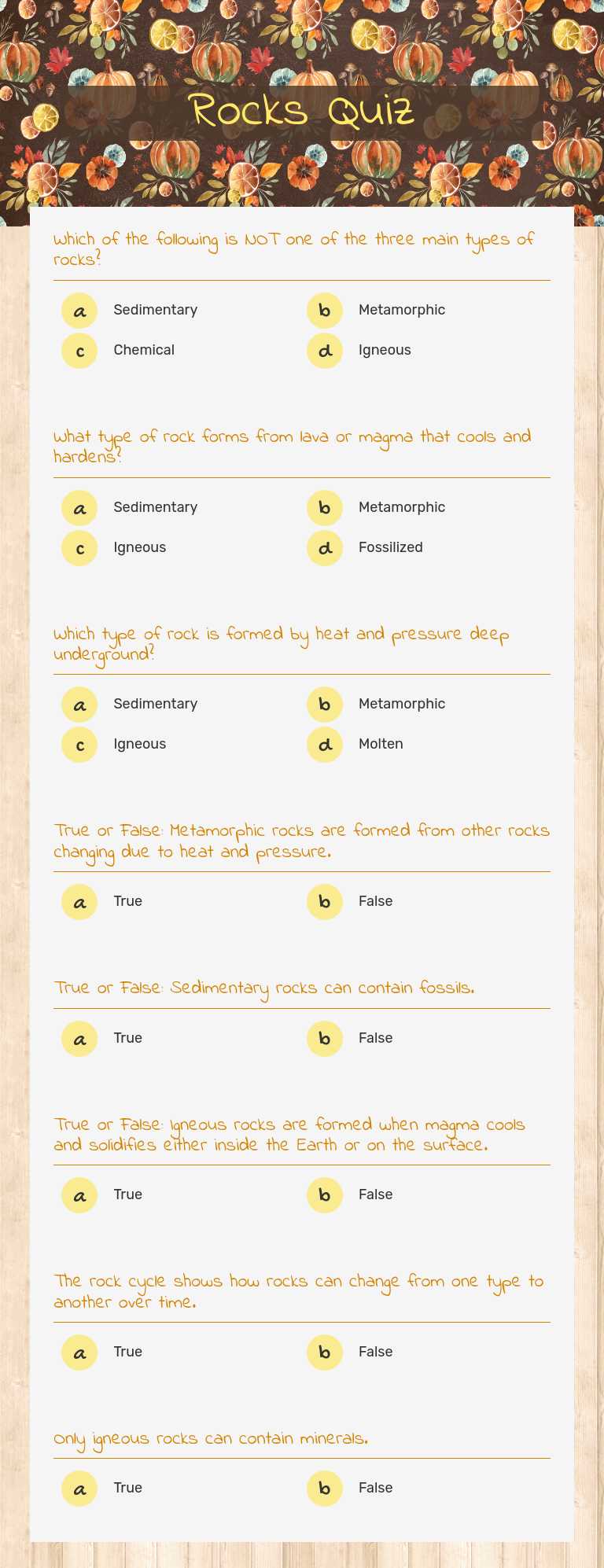 Rocks Quiz worksheet preview image