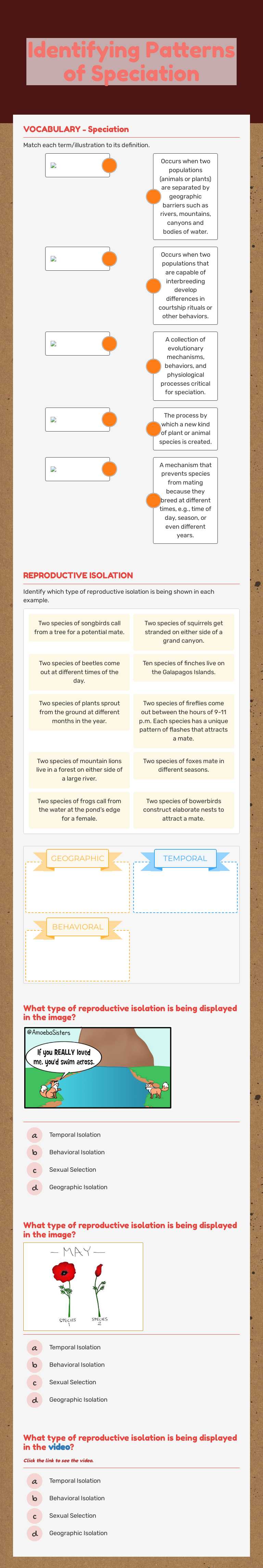 Identifying Patterns of Speciation worksheet preview image